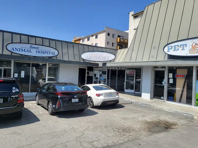 The Hollywood Laundry