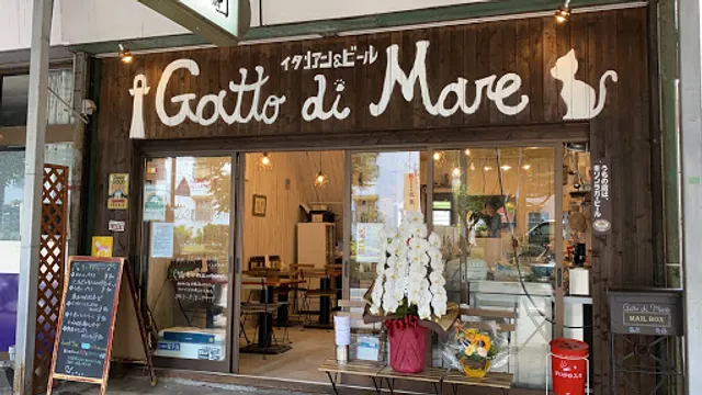 Gatto di Mare Tachikawa