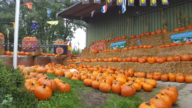 Duck & asparagus paradise
