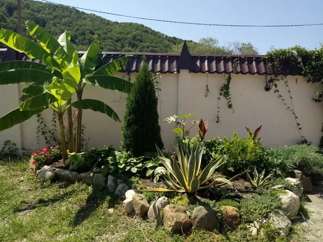 Gostevoy Dom Rassvet