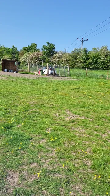 Run Free Dog Fields - Gartcosh