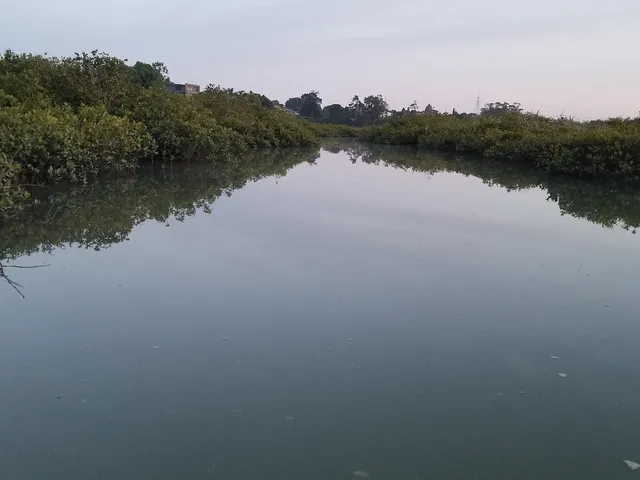 Te Whau Pathway - Tiroroa Esplanade
