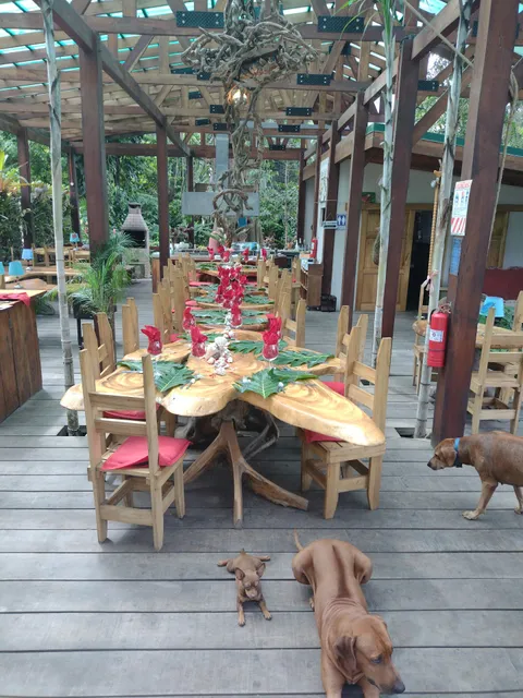 Puerto Viejo Bar de Vino