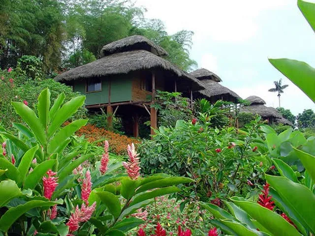 Arashá Resort & Spa