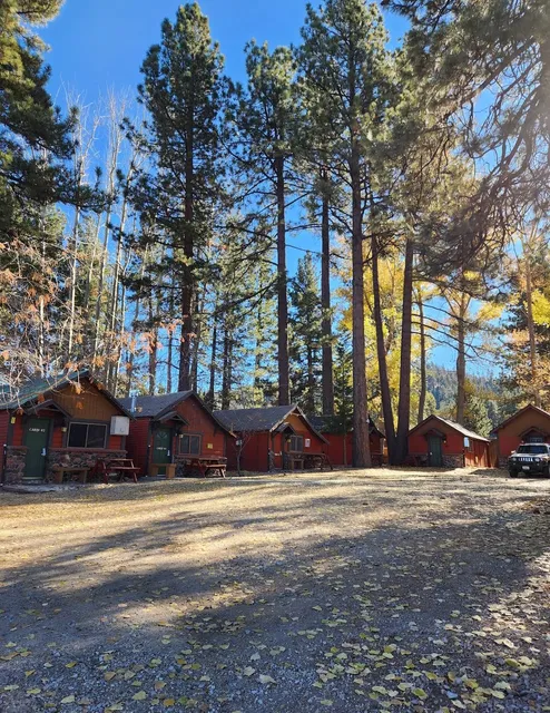 Cabins 4 Less, cabins 41 to 48