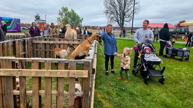 The Babinski Foundation