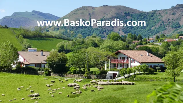 BaskoParadis