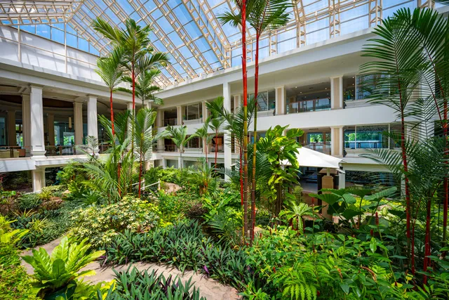 Dusit Thani Pattaya Hotel