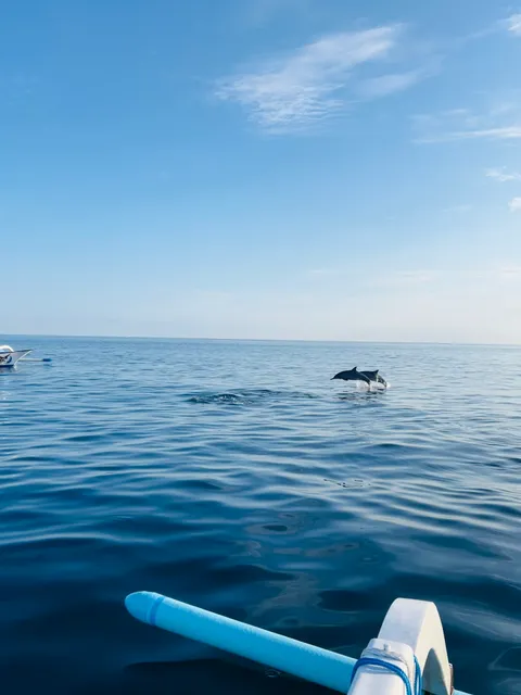 Lovina Ocean Dolphin Tour