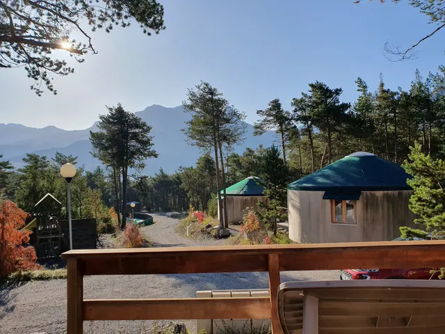 Le Loup Blanc du Riou