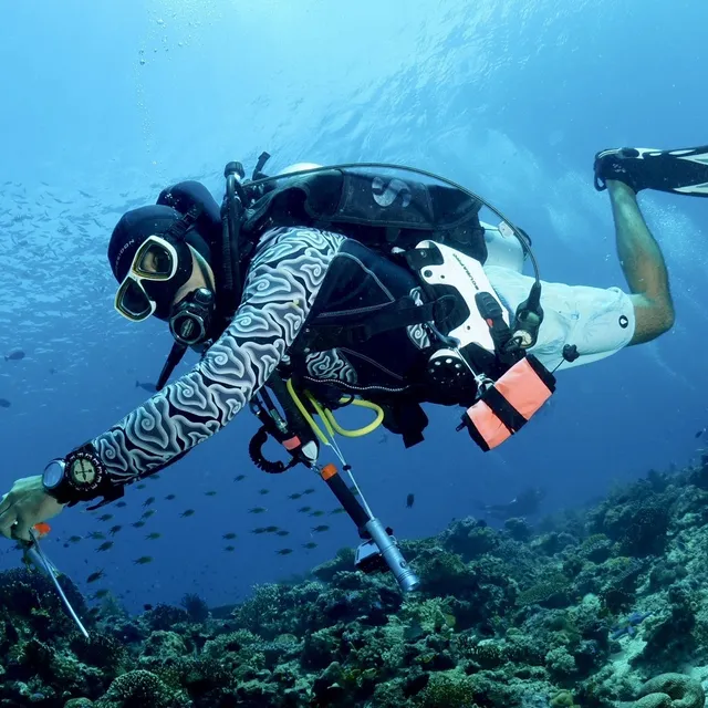 Divers Paradise Komodo
