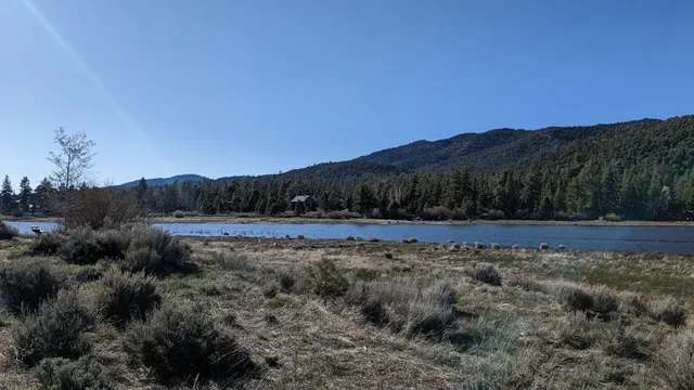 Stanfield Marsh Wildlife Boardwalk Park