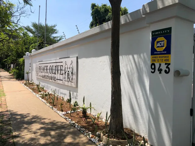 Black Olive Guest House