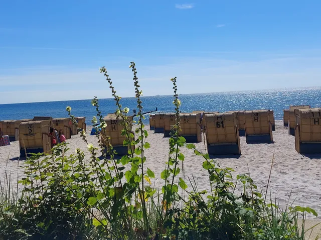 Ferienhaus Meisenweg 26/28