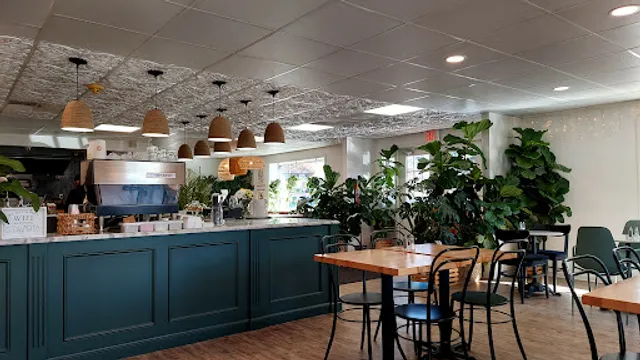 Hudson Botanical - Café | Catering | Houseplants