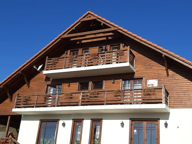 Pensiunea Scarisoara