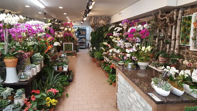 TJ Flowers and Events