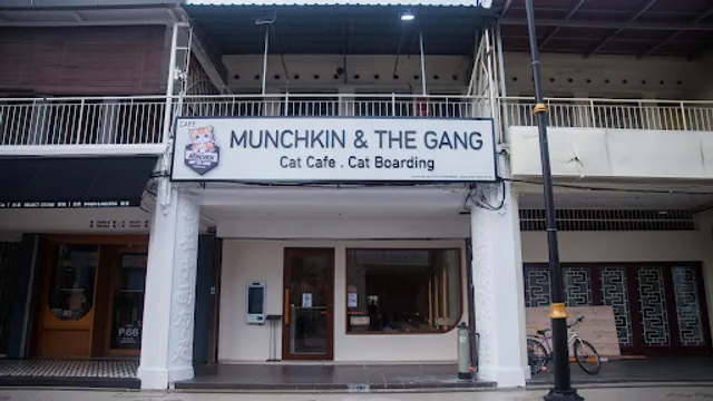 Munchkin & The Gang Cat Cafe