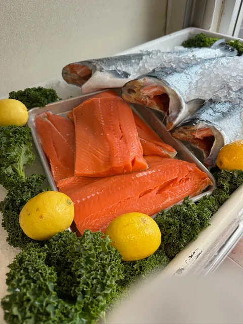 Pelagic Fish Market and Grill