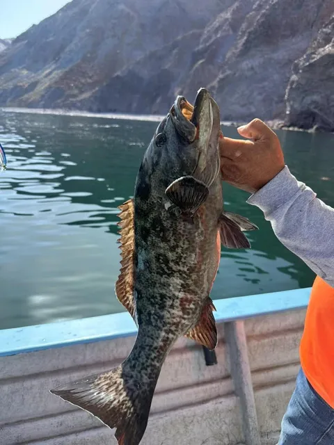 World Fishing Tackle