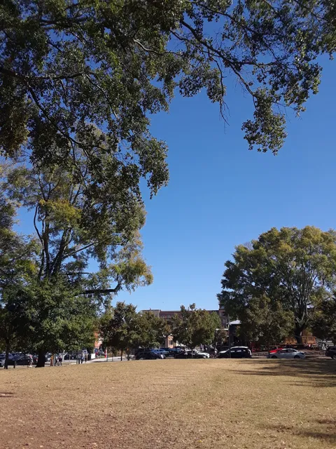 Woodstock Arts Event Green