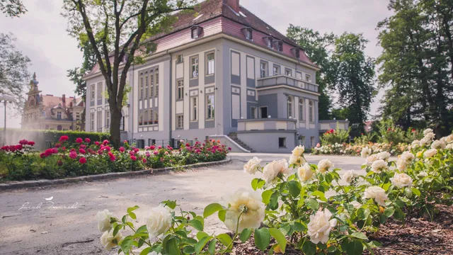 Willa Starosty Hotel I Restauracja