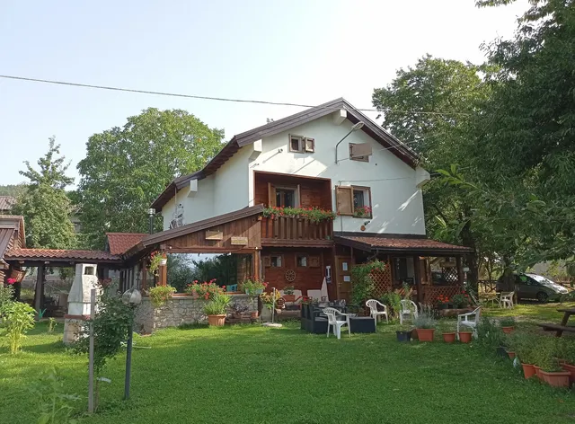 Il posto del ciliegio selvatico