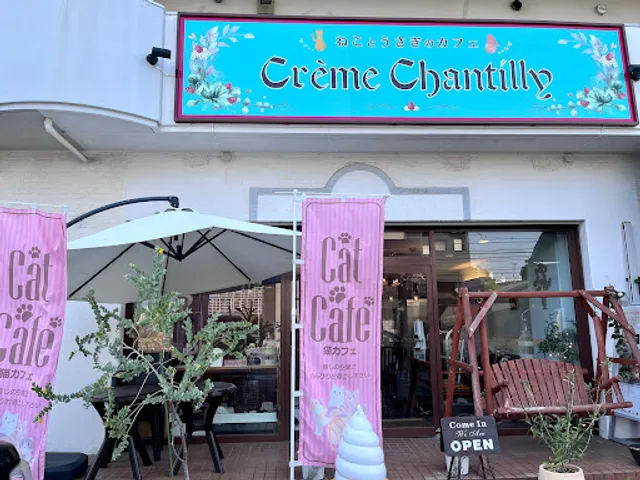 猫とうさぎのカフェ クリームシャンティ (旧:ラビキャットん)