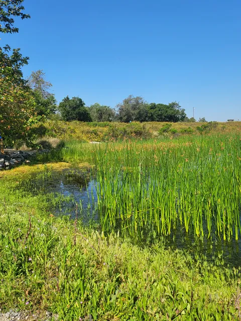 Irvine Ranch Water District