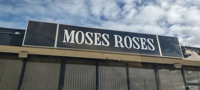 Moses Roses - Port Huron