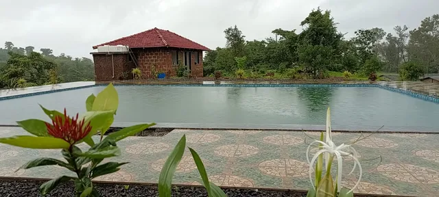 Mountain View Farm & Camping