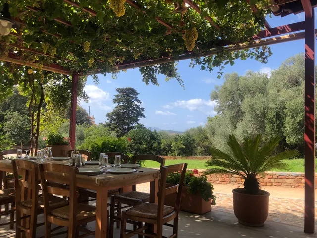 Cafe Traditional Taverna