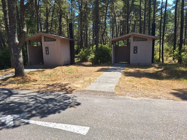 Wild Mare Horse Camp