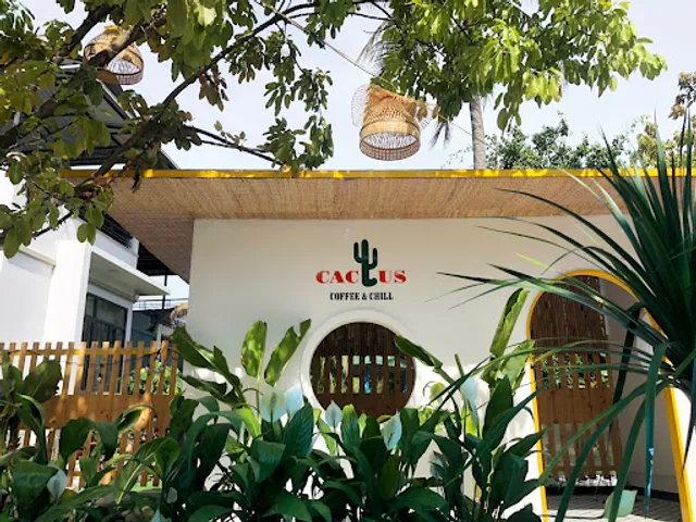Cactus Coffee & Chill