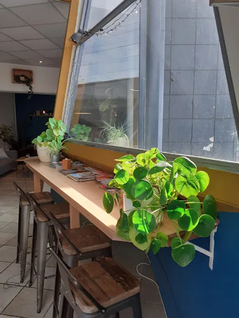 The Coffee Harbour Overvecht