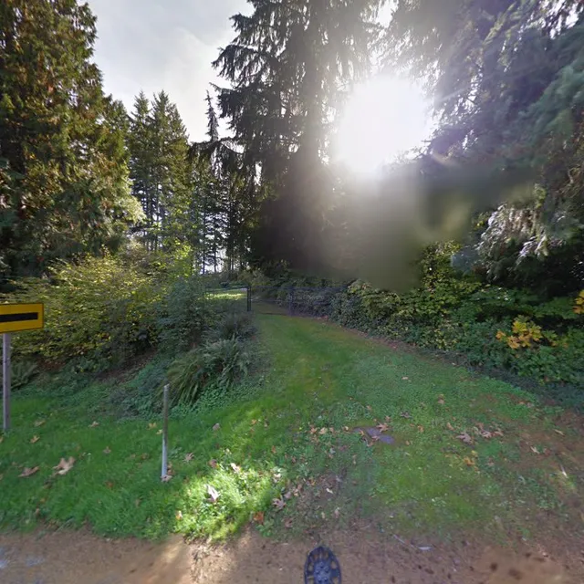 Charlie the Juggling Clown