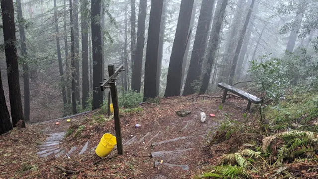 Redwood Bowmen Archery Club