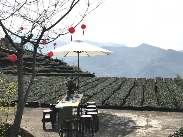 林家茶園(小山霂茗Drizzle Tea Factory)-霂茗山中尋茶香