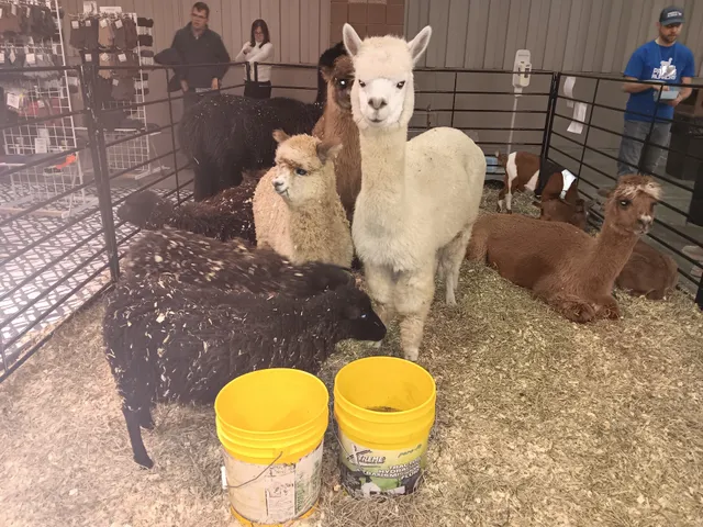 American Royal Center