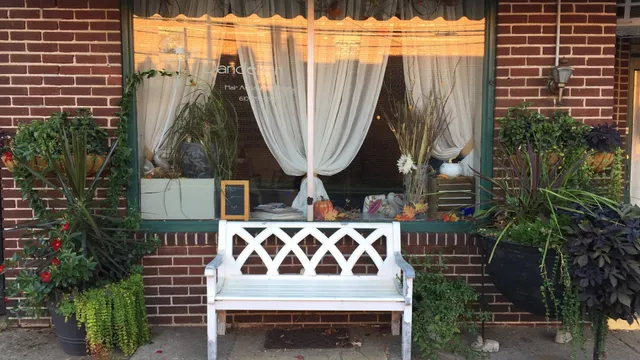 Dandelion Hair Artistry & Design