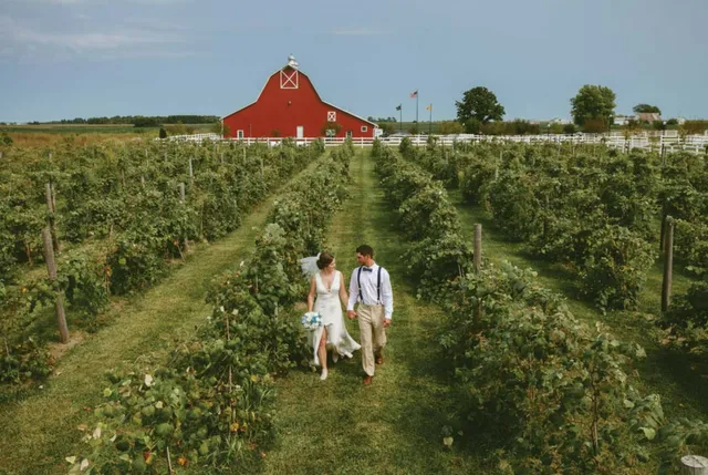 Parker Run Vineyards