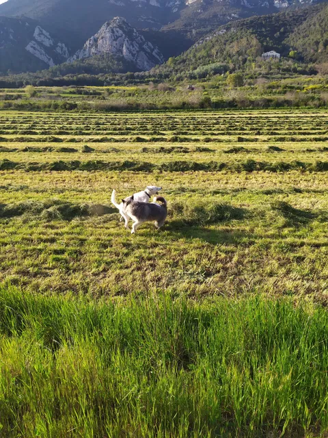 La Casanova de Beuda