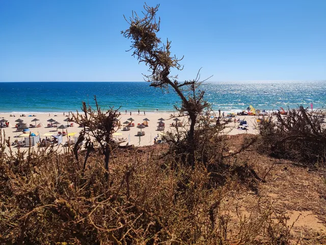 Estrada da Rocha Baixinha