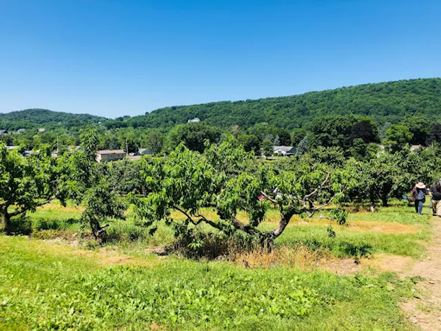 Prospect Hill Orchards-Hilltop Farm