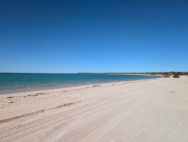 Herald Bight Campground