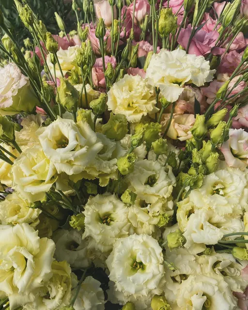 Bright Hope Family Farm