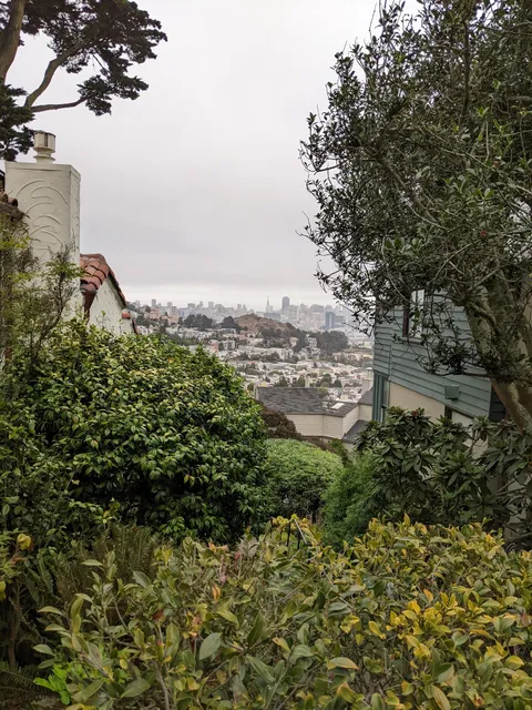 The Neighborhood Garden