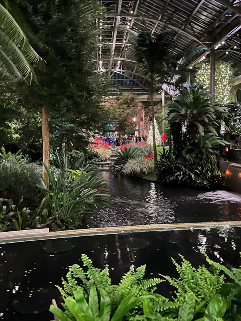 Canopy Cathedral Treehouse