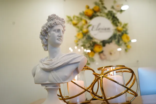 Elysium Medical Esthetics