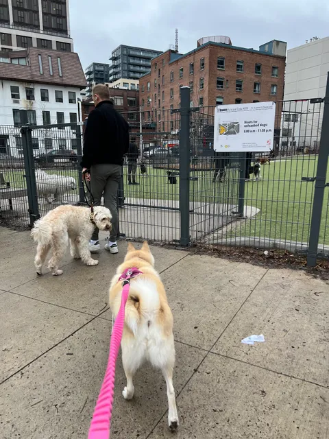 St. Andrew's Playground Dog Park